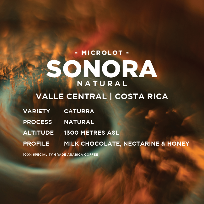 Costa Rica: Sonora